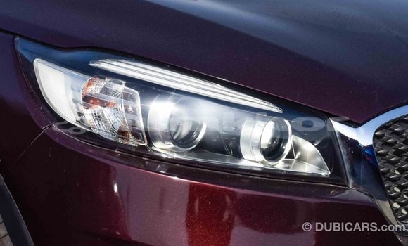 Buy Import Kia Sorento Brown Car in Import - Dubai in Bumthang Buy Import Kia Sorento Brown Car in Import - Dubai in Bumthang