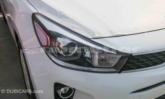 Buy Import Kia Rio White Car in Import - Dubai in Bumthang Buy Import Kia Rio White Car in Import - Dubai in Bumthang