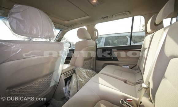 Buy Import Toyota Land Cruiser Black Car in Import - Dubai in Bumthang Buy Import Toyota Land Cruiser Black Car in Import - Dubai in Bumthang