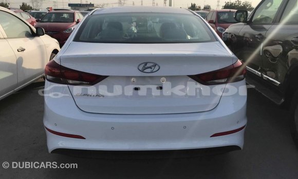 Buy Import Hyundai Elantra White Car in Import - Dubai in Bumthang Buy Import Hyundai Elantra White Car in Import - Dubai in Bumthang