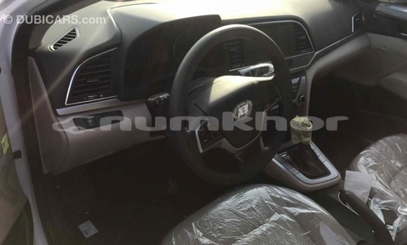 Buy Import Hyundai Elantra White Car in Import - Dubai in Bumthang Buy Import Hyundai Elantra White Car in Import - Dubai in Bumthang