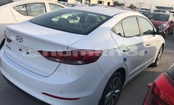Buy Import Hyundai Elantra White Car in Import - Dubai in Bumthang Buy Import Hyundai Elantra White Car in Import - Dubai in Bumthang
