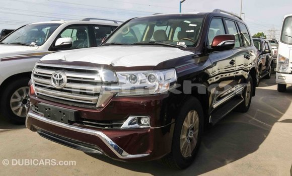 Buy Import Toyota Land Cruiser Other Car in Import - Dubai in Bumthang Buy Import Toyota Land Cruiser Other Car in Import - Dubai in Bumthang