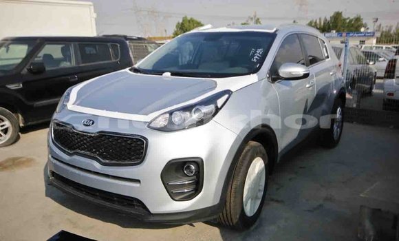 Buy Import Kia Sportage Other Car in Import - Dubai in Bumthang Buy Import Kia Sportage Other Car in Import - Dubai in Bumthang