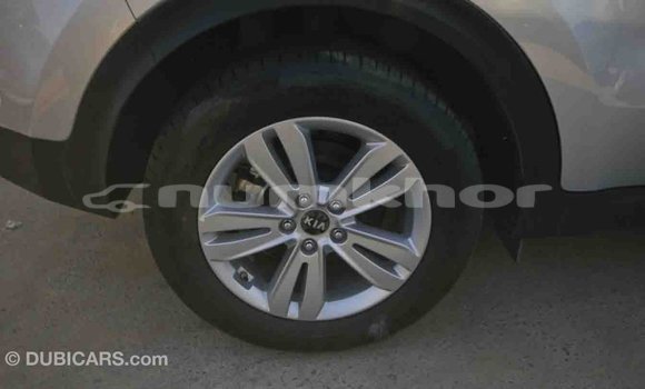 Buy Import Kia Sportage Other Car in Import - Dubai in Bumthang Buy Import Kia Sportage Other Car in Import - Dubai in Bumthang