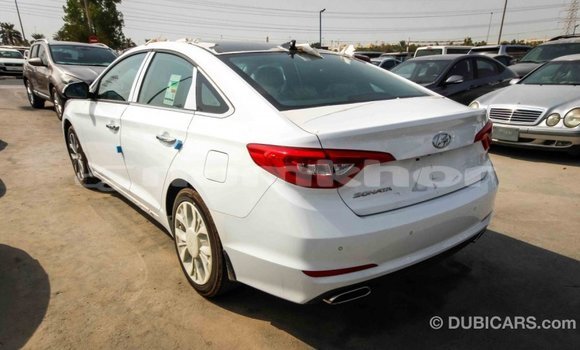 Buy Import Hyundai Sonata White Car in Import - Dubai in Bumthang Buy Import Hyundai Sonata White Car in Import - Dubai in Bumthang