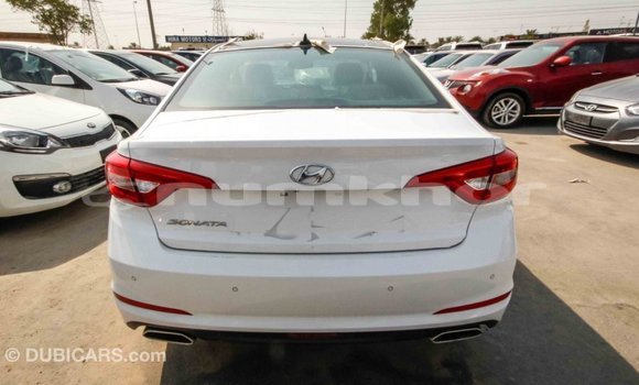 Buy Import Hyundai Sonata White Car in Import - Dubai in Bumthang Buy Import Hyundai Sonata White Car in Import - Dubai in Bumthang