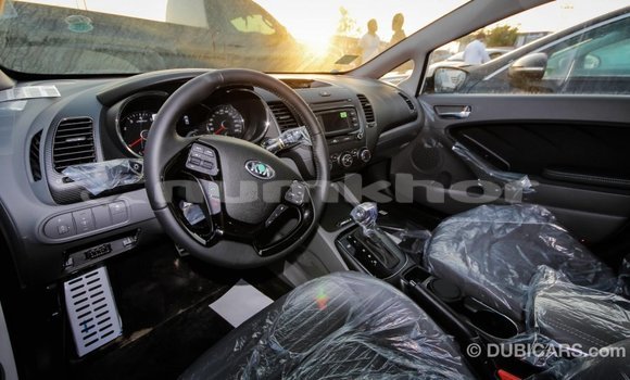 Buy Import Kia Cerato White Car in Import - Dubai in Bumthang Buy Import Kia Cerato White Car in Import - Dubai in Bumthang