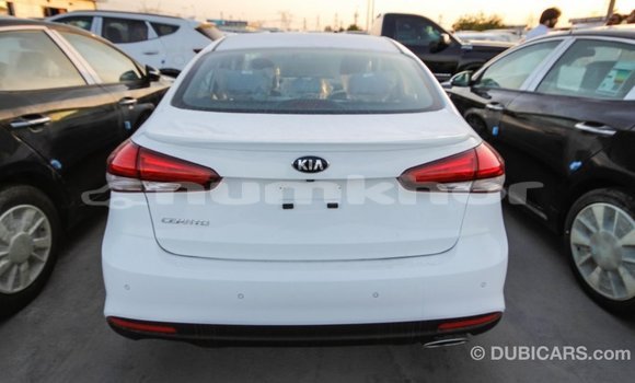 Buy Import Kia Cerato White Car in Import - Dubai in Bumthang Buy Import Kia Cerato White Car in Import - Dubai in Bumthang