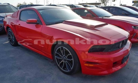 Buy Import Ford Mustang Red Car in Import - Dubai in Bumthang Buy Import Ford Mustang Red Car in Import - Dubai in Bumthang