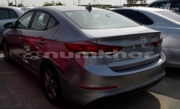 Buy Import Hyundai Elantra Other Car in Import - Dubai in Bumthang Buy Import Hyundai Elantra Other Car in Import - Dubai in Bumthang
