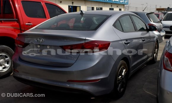 Buy Import Hyundai Elantra Other Car in Import - Dubai in Bumthang Buy Import Hyundai Elantra Other Car in Import - Dubai in Bumthang