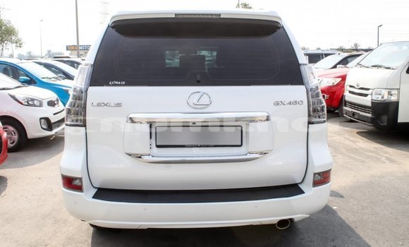 Buy Import Lexus GX White Car in Import - Dubai in Bumthang Buy Import Lexus GX White Car in Import - Dubai in Bumthang