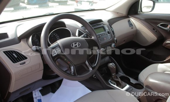 Buy Import Hyundai Tucson Beige Car in Import - Dubai in Bumthang Buy Import Hyundai Tucson Beige Car in Import - Dubai in Bumthang