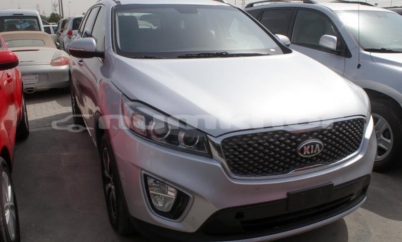 Buy Import Kia Sorento Other Car in Import - Dubai in Bumthang Buy Import Kia Sorento Other Car in Import - Dubai in Bumthang