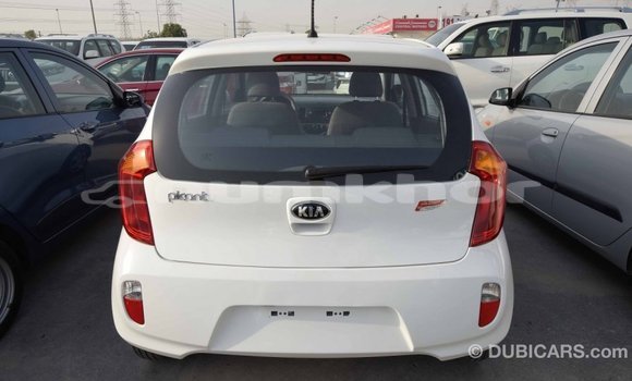 Buy Import Kia Picanto White Car in Import - Dubai in Bumthang Buy Import Kia Picanto White Car in Import - Dubai in Bumthang