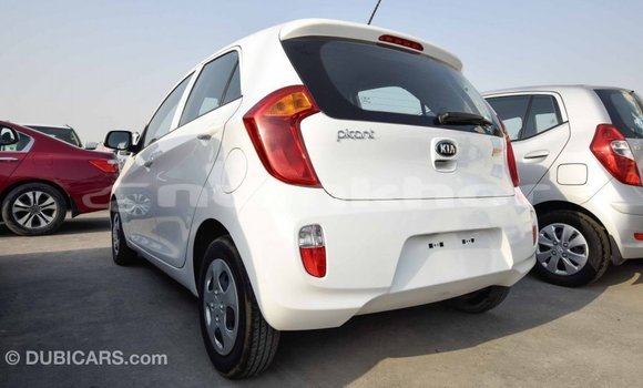Buy Import Kia Picanto White Car in Import - Dubai in Bumthang Buy Import Kia Picanto White Car in Import - Dubai in Bumthang