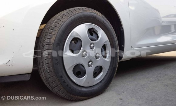 Buy Import Kia Picanto White Car in Import - Dubai in Bumthang Buy Import Kia Picanto White Car in Import - Dubai in Bumthang