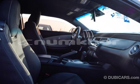 Buy Import Chevrolet Camaro Other Car in Import - Dubai in Bumthang Buy Import Chevrolet Camaro Other Car in Import - Dubai in Bumthang
