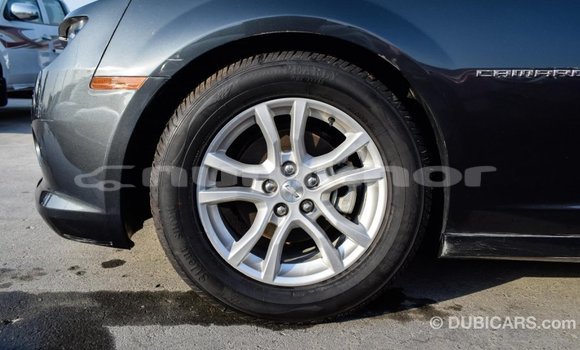 Buy Import Chevrolet Camaro Other Car in Import - Dubai in Bumthang Buy Import Chevrolet Camaro Other Car in Import - Dubai in Bumthang