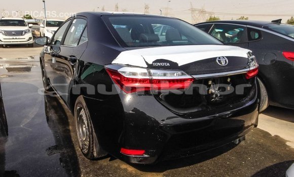 Buy Import Toyota Corolla Black Car in Import - Dubai in Bumthang Buy Import Toyota Corolla Black Car in Import - Dubai in Bumthang