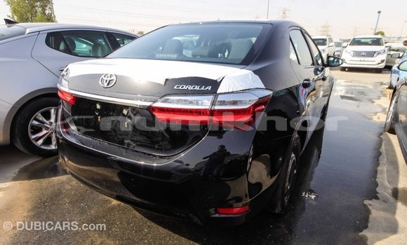 Buy Import Toyota Corolla Black Car in Import - Dubai in Bumthang Buy Import Toyota Corolla Black Car in Import - Dubai in Bumthang