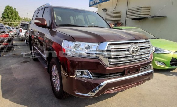 Buy Import Toyota Land Cruiser Brown Car in Import - Dubai in Bumthang Buy Import Toyota Land Cruiser Brown Car in Import - Dubai in Bumthang