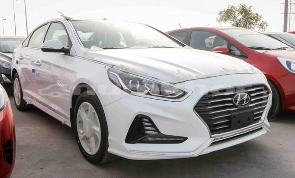 Buy Import Hyundai Sonata White Car in Import - Dubai in Bumthang Buy Import Hyundai Sonata White Car in Import - Dubai in Bumthang