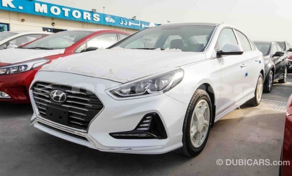 Buy Import Hyundai Sonata White Car in Import - Dubai in Bumthang Buy Import Hyundai Sonata White Car in Import - Dubai in Bumthang