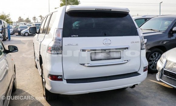 Buy Import Lexus GX White Car in Import - Dubai in Bumthang Buy Import Lexus GX White Car in Import - Dubai in Bumthang