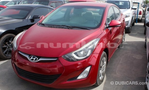 Buy Import Hyundai Elantra Red Car in Import - Dubai in Bumthang Buy Import Hyundai Elantra Red Car in Import - Dubai in Bumthang