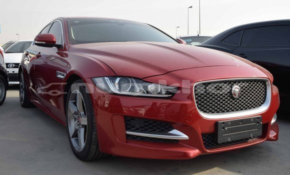 Buy Import Jaguar XE Red Car in Import - Dubai in Bumthang