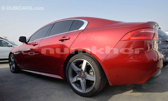 Buy Import Jaguar XE Red Car in Import - Dubai in Bumthang Buy Import Jaguar XE Red Car in Import - Dubai in Bumthang