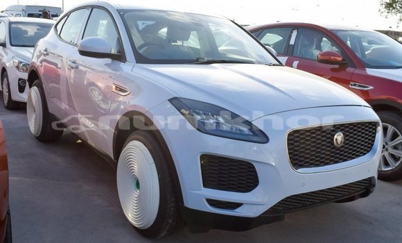 Buy Import Jaguar E-Pace White Car in Import - Dubai in Bumthang