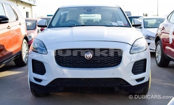 Buy Import Jaguar E-Pace White Car in Import - Dubai in Bumthang Buy Import Jaguar E-Pace White Car in Import - Dubai in Bumthang