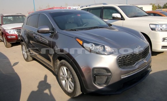 Buy Import Kia Sportage Other Car in Import - Dubai in Bumthang Buy Import Kia Sportage Other Car in Import - Dubai in Bumthang