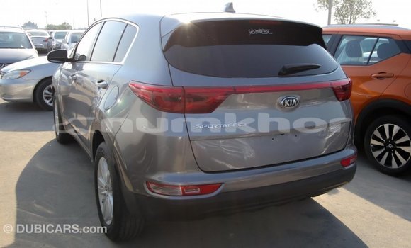 Buy Import Kia Sportage Other Car in Import - Dubai in Bumthang Buy Import Kia Sportage Other Car in Import - Dubai in Bumthang