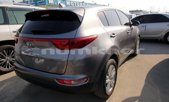 Buy Import Kia Sportage Other Car in Import - Dubai in Bumthang Buy Import Kia Sportage Other Car in Import - Dubai in Bumthang