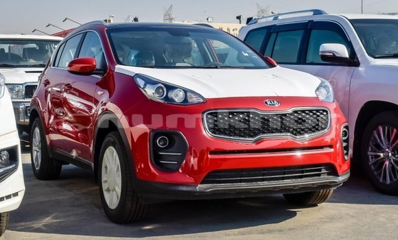 Buy Import Kia Sportage Red Car in Import - Dubai in Bumthang Buy Import Kia Sportage Red Car in Import - Dubai in Bumthang