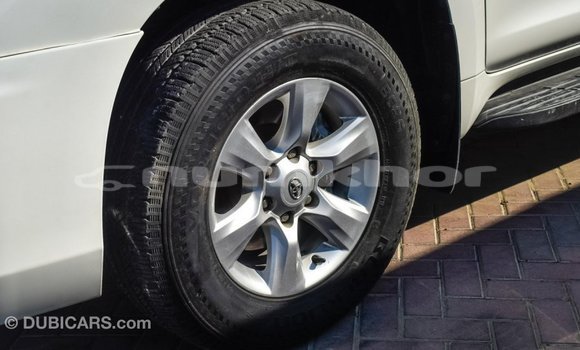Buy Import Toyota Prado White Car in Import - Dubai in Bumthang Buy Import Toyota Prado White Car in Import - Dubai in Bumthang
