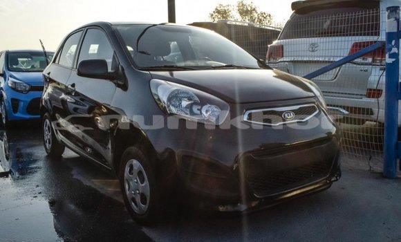 Buy Import Kia Picanto Black Car in Import - Dubai in Bumthang Buy Import Kia Picanto Black Car in Import - Dubai in Bumthang