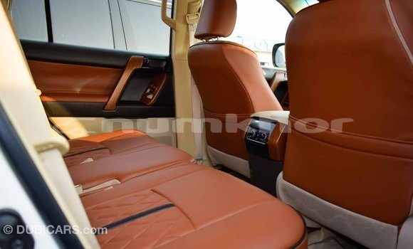 Buy Import Toyota Prado White Car in Import - Dubai in Bumthang Buy Import Toyota Prado White Car in Import - Dubai in Bumthang