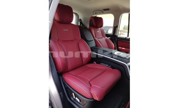 Buy Import Toyota Land Cruiser Black Car in Import - Dubai in Bumthang Buy Import Toyota Land Cruiser Black Car in Import - Dubai in Bumthang