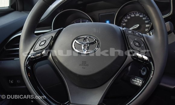 Buy Import Toyota C-HR Other Car in Import - Dubai in Bumthang Buy Import Toyota C-HR Other Car in Import - Dubai in Bumthang
