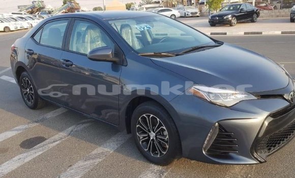Buy Import Toyota Corolla Other Car in Import - Dubai in Bumthang Buy Import Toyota Corolla Other Car in Import - Dubai in Bumthang