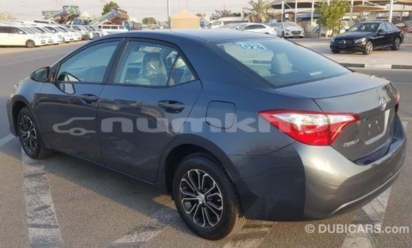 Buy Import Toyota Corolla Other Car in Import - Dubai in Bumthang Buy Import Toyota Corolla Other Car in Import - Dubai in Bumthang