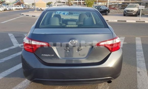 Buy Import Toyota Corolla Other Car in Import - Dubai in Bumthang Buy Import Toyota Corolla Other Car in Import - Dubai in Bumthang