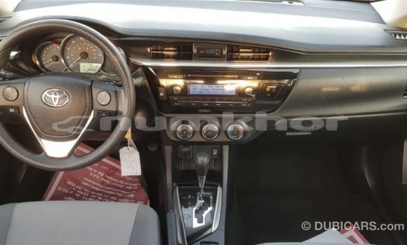 Buy Import Toyota Corolla Other Car in Import - Dubai in Bumthang Buy Import Toyota Corolla Other Car in Import - Dubai in Bumthang