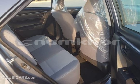 Buy Import Toyota Corolla Other Car in Import - Dubai in Bumthang Buy Import Toyota Corolla Other Car in Import - Dubai in Bumthang