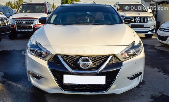 Buy Import Nissan Maxima White Car in Import - Dubai in Bumthang Buy Import Nissan Maxima White Car in Import - Dubai in Bumthang